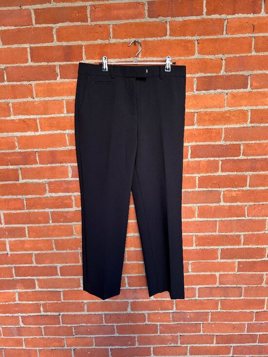 Ann Taylor Pants - Ann Taylor Bridgette Black Pants 10P FA25 27.5 Inch Inseam Never Worn